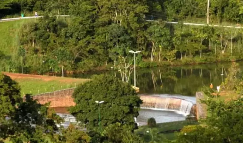 Guarda Metropolitana Ambiental resgata peixe da espécie pirarucu, em Palmas 2 Parque Cesamar