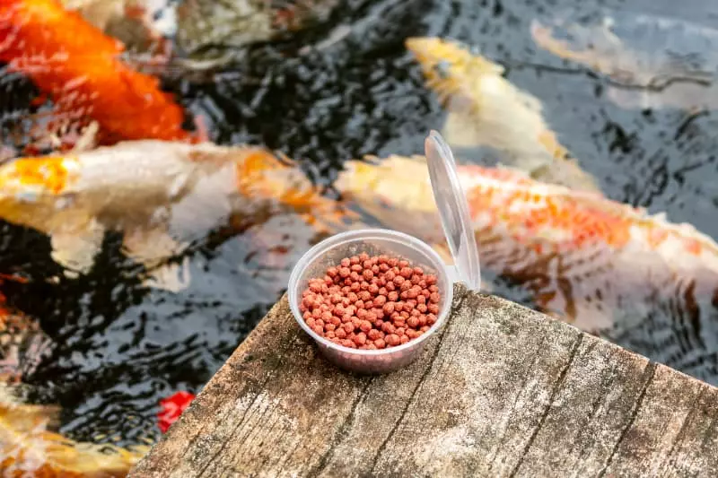 Pesca