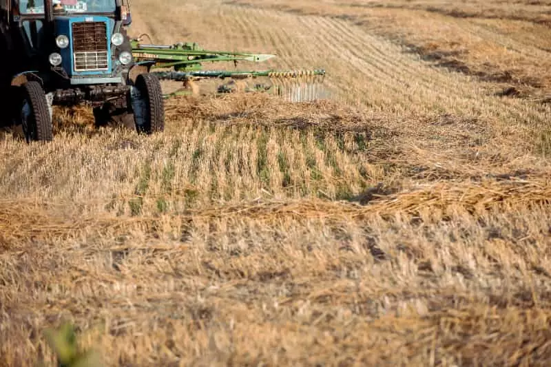 PIB do agronegócio