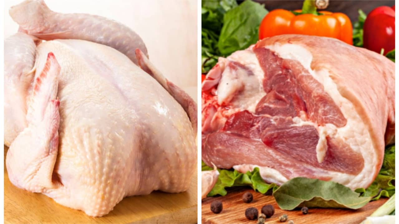 Produção e exportação de carnes de frango e suína registram crescimento em 2023. 