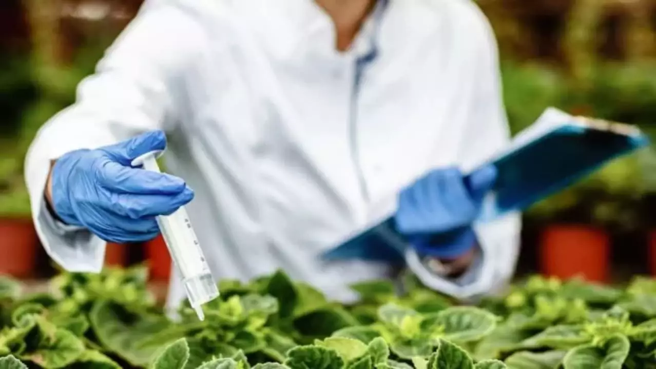 Produtos formulados para controle de pragas somam 365 em 2023. 