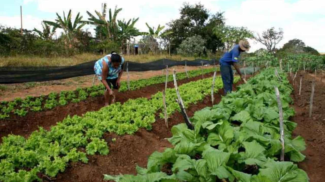 Projeto de Lei também estende prazo para renegociação de dívidas.