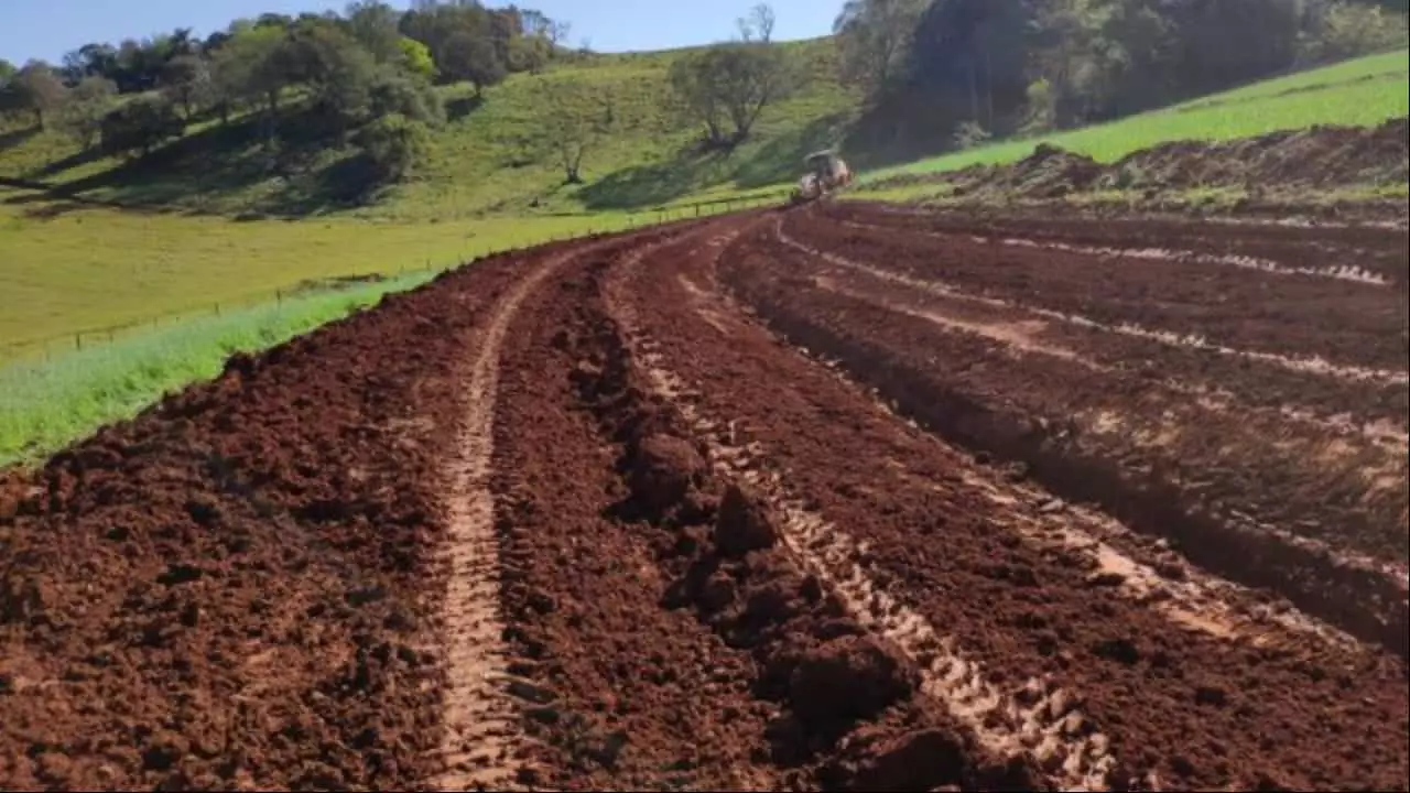 Terraços foram construídos na propriedade de Sandro há quatro anos.