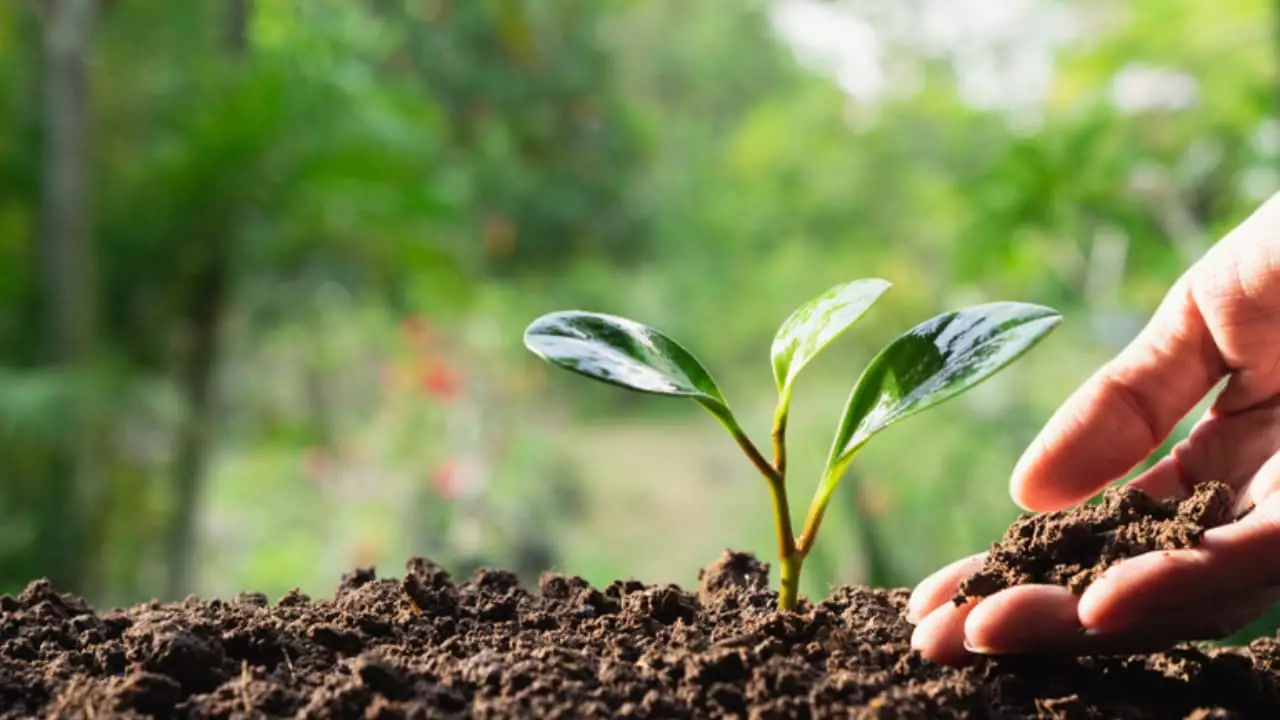 Último registro de 2023 conta com 55 produtos formulados. Foto: Divulgação