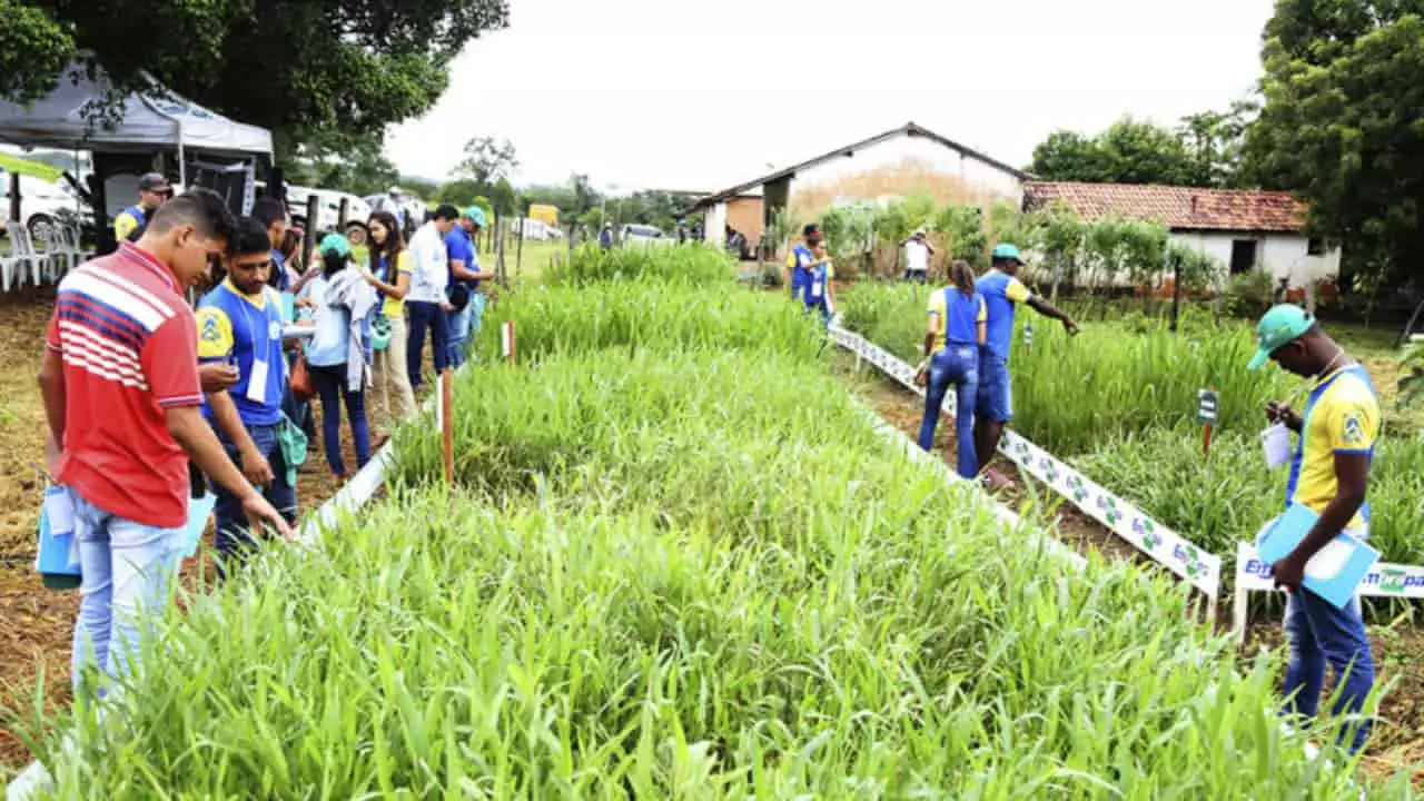 AgroSudeste: saiba tudo sobre a Feira Agrotecnológica do Tocantins 2 Agrosudeste está confirmada para acontecer de 10 a 13 de abril no Tocantins . Foto: Divulgação