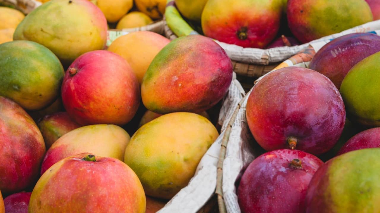 Brasil ocupa a 3ª posição no ranking de produção de frutas no mundo. 