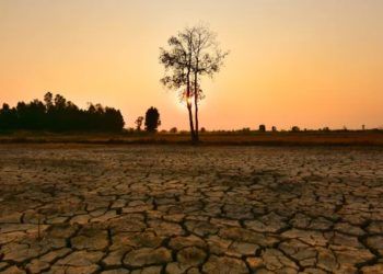 Condições do fenômeno El Niño devem permanecer por alguns meses; veja efeitos