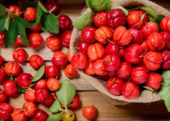 Confira como plantar acerola e os benefícios da fruta para a saúde