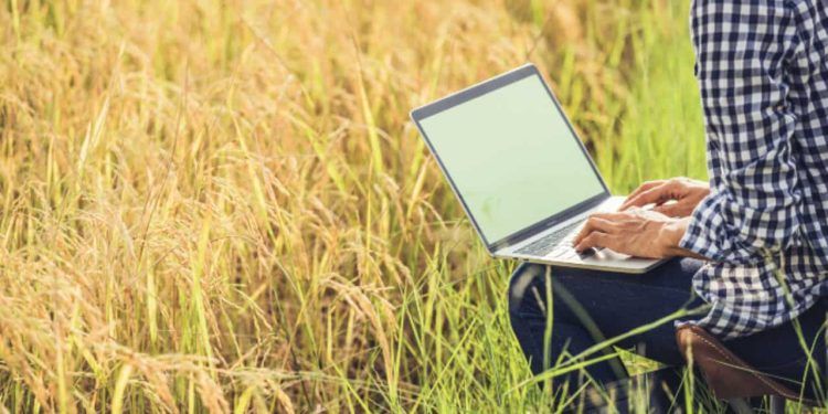 Faculdade CNA abre inscrições para cursos do agro até 15 de fevereiro.