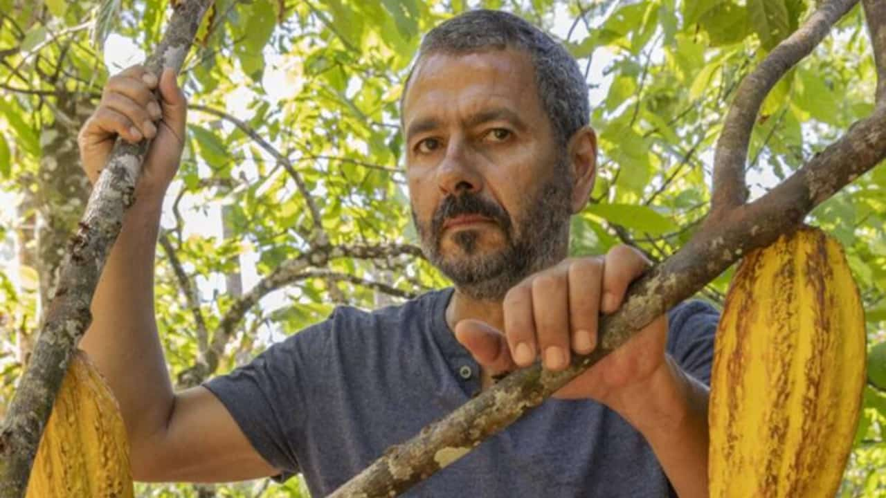 Novela "Renascer", aborda a valorização da cultura local e a busca por práticas sustentáveis na produção de cacau. 