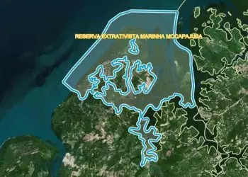 ICMBio define perfil de beneficiários de reserva extrativista no Pará; confira