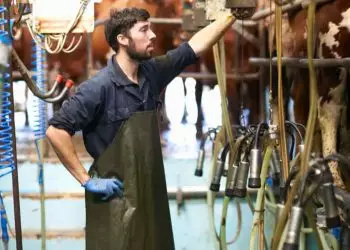 Linha de crédito de R$ 707 milhões é liberada para produtores de leite