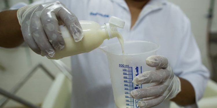 Linha de crédito para bovinocultura leiteira no FCO está em vigor, em Goiás