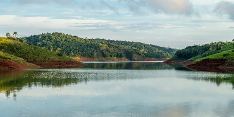 Multas ambientais caem 92% na Amazônia na 1ª quinzena de 2024