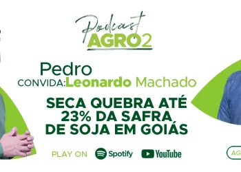 Podcast com Leonardo Machado