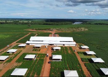 Sebrae Tocantins promove debate sobre economia e sustentabilidade no agro