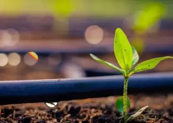 Senar Serviços busca auxiliar o produtor com pivô central, aspersão, gotejamento.