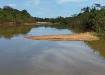 Calor intenso causa mortandade de peixes no Rio Javaés, no Tocantins