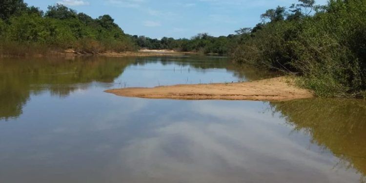 Calor intenso causa mortandade de peixes no Rio Javaés, no Tocantins