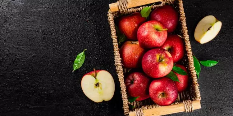 Veja como plantar maçã a partir das sementes e os benefícios da fruta