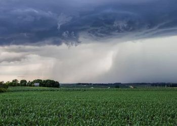 ZCAS provoca chuva intensa em MT, PA, TO, GO, BA e MG.