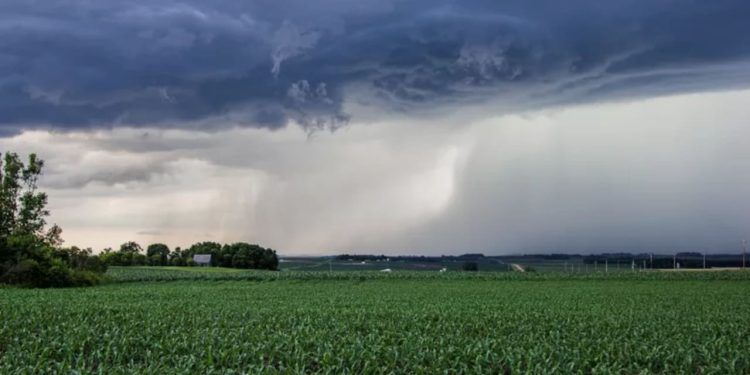 ZCAS provoca chuva intensa em MT, PA, TO, GO, BA e MG.