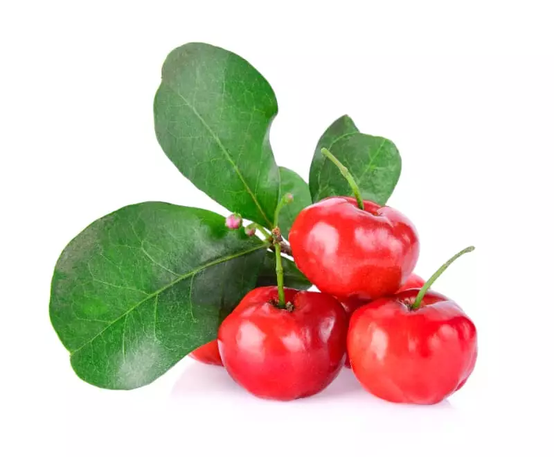 Acerola