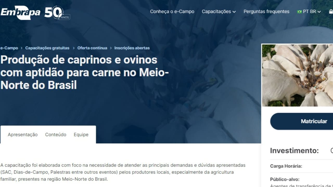 Curso online e gratuito ensina sobre produção de caprinos e ovinos 3 Alunos podem acessar capacitação pela plataforma e-Campo.