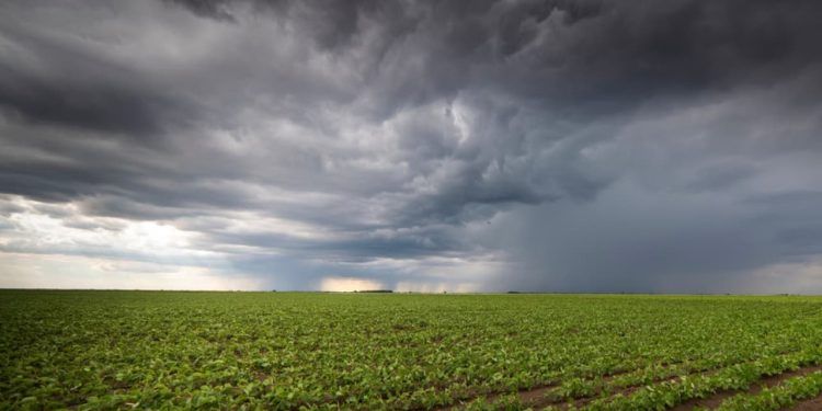 Chuva deve ser mais regular no Centro e Sudeste.