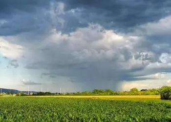 Chuva deve ultrapassar 80 milímetros no oeste do Norte, Centro-Oeste e Sudeste.