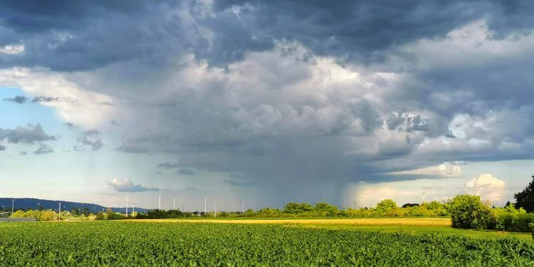 Chuva deve ultrapassar 80 milímetros no oeste do Norte, Centro-Oeste e Sudeste.