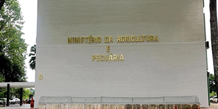 Edital foi lançado na quarta-feira (10) pelo Governo Federal.