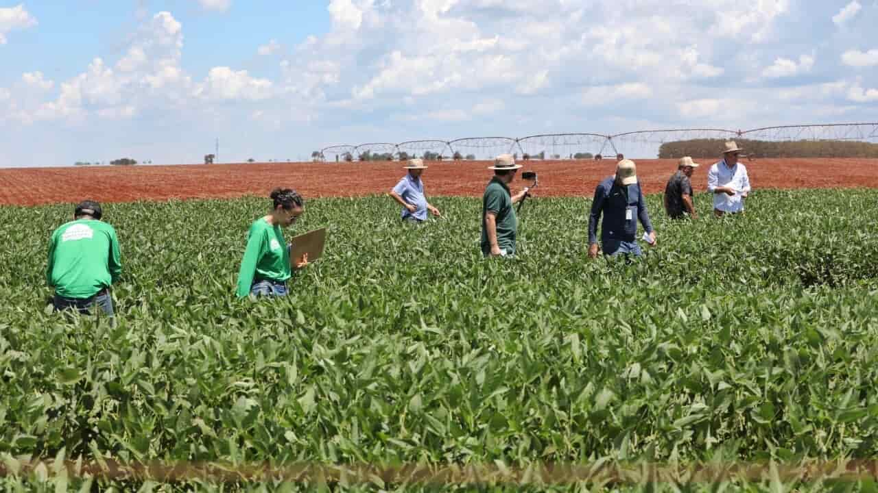 Em Goiás municípios decretaram estado de emergência com seca.