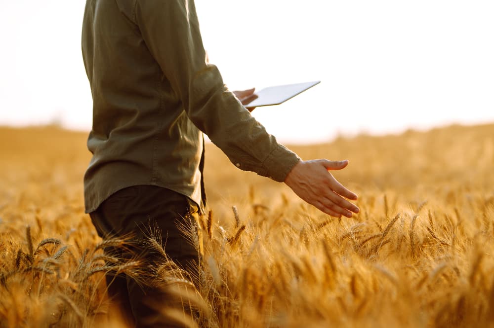 Eventos do agronegócio em Goiás fomentam a economia em 2024 3 agronegócio