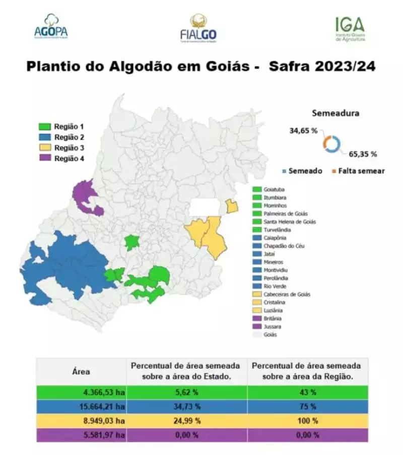 Plantio do algodão