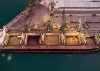 Setor foi responsável por 49% dos embarques do Brasil durante o ano.