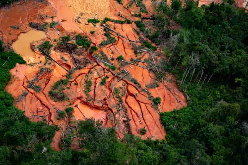 Agenda Transversal Ambiental é criada para destacar ações ambientais; confira 3 Terras indígenas