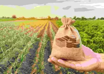 BNDES amplia em R$ 4 bi linha de financiamento em dólar ao produtor rural