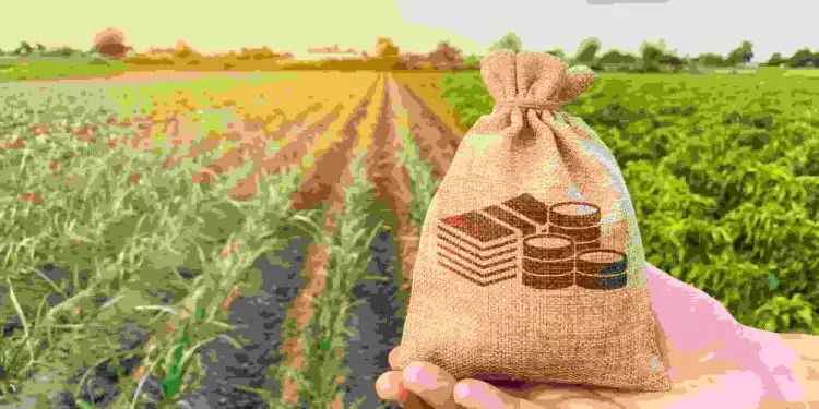BNDES amplia em R$ 4 bi linha de financiamento em dólar ao produtor rural
