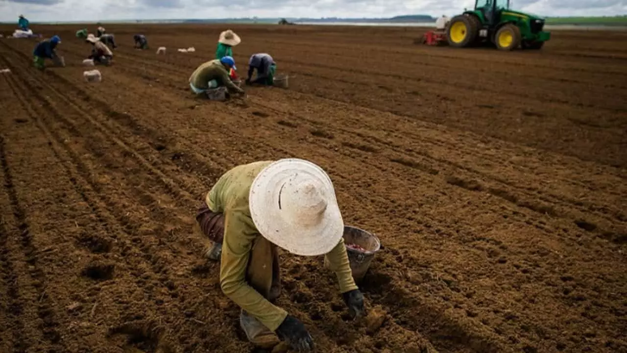 Bahia, São Paulo e Mato Grosso lideram ranking de geração de empregos.