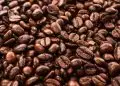 Brasil conquista abertura do mercado na Zâmbia para importação do café