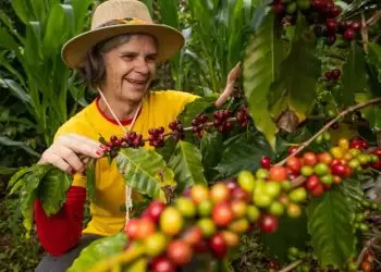 CNA junto a Apex-Brasil lançaram o programa Agro.BR Mulheres.