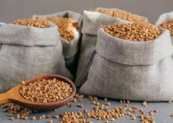 Colheita de grãos da safra 23/24 será menor do que o estimado; diz Conab