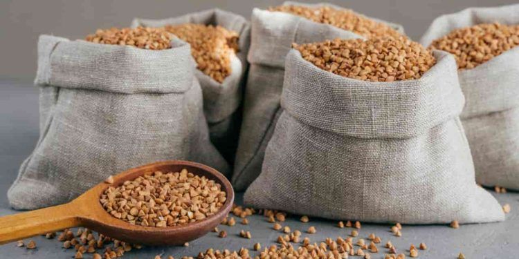 Colheita de grãos da safra 23/24 será menor do que o estimado; diz Conab