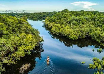 Fundo Amazônia capta R$ 726 milhões em 2023, maior valor desde 2009
