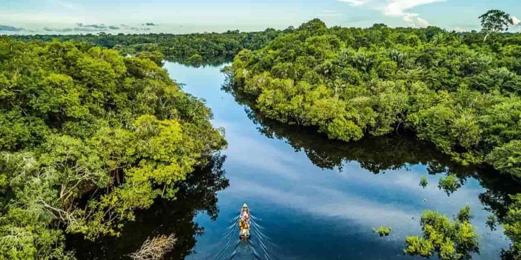Fundo Amazônia capta R$ 726 milhões em 2023, maior valor desde 2009