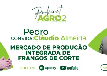 Podcast com Claudio Almeida