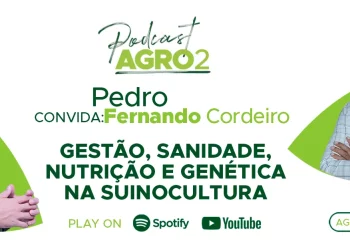 Podcast com Fernando Cordeiro