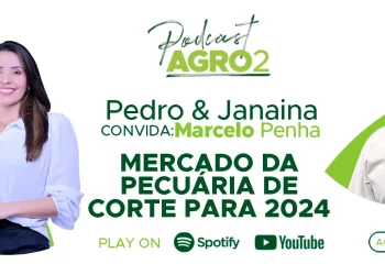 Podcast com Marcelo Penha