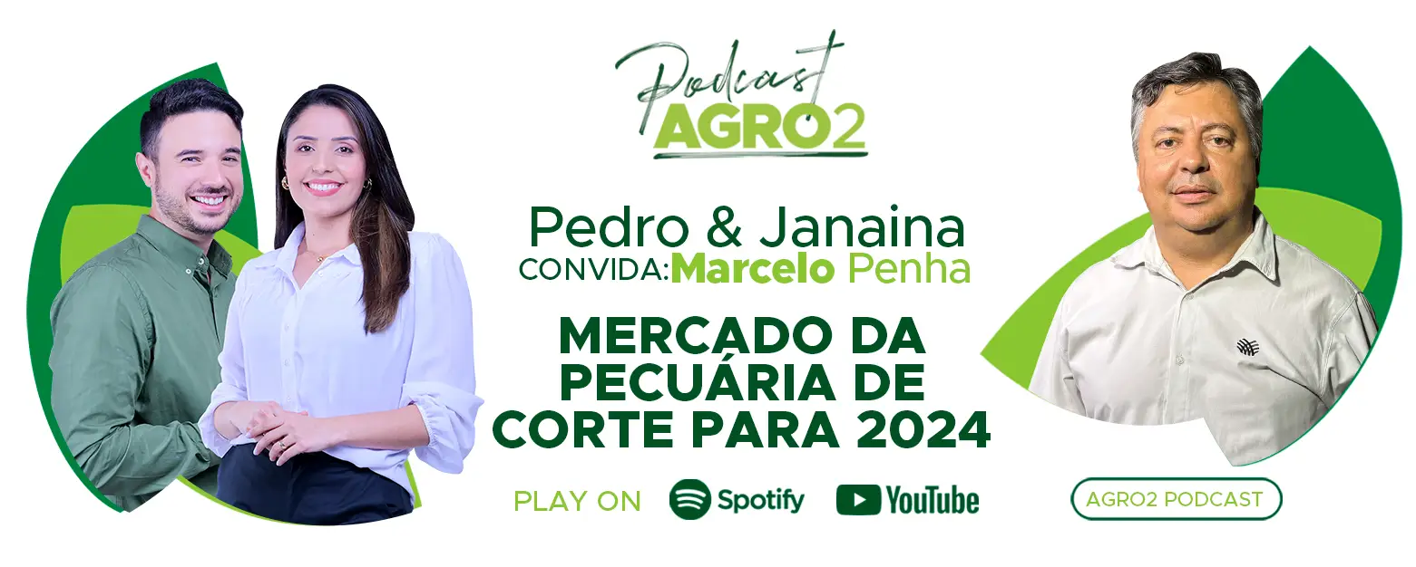 Podcast com Marcelo Penha